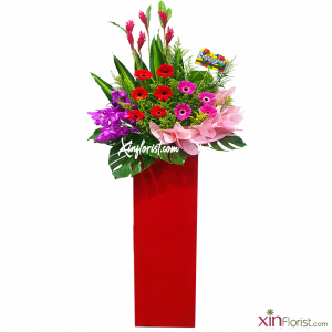 20191206_183638-900_862957245