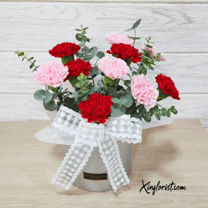 900_19727640_478508841_515583887