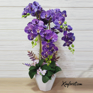 thumbnail_20240727_145519