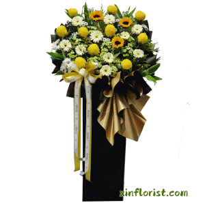 thumbnail_20250616_131653