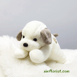 thumbnail_20250617_161557x