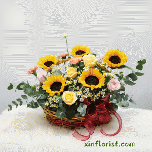 thumbnail_20250708_165507b