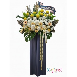 whatsapp_image_2025-12-22_at_15_57_54