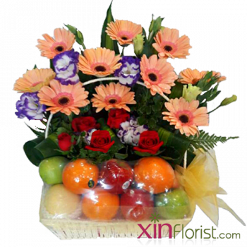 12_1111225719-500_2036296030