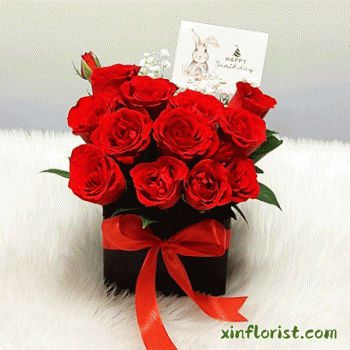 box101_242466858_608033887