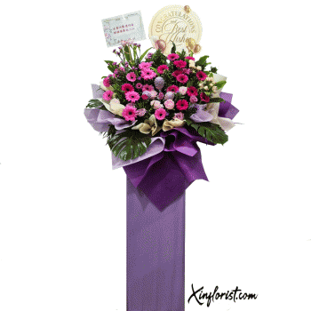 co003-rm3001_1084429538