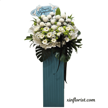 fw_1956212756_1040299650