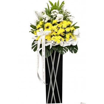 image_67216129_1690805927