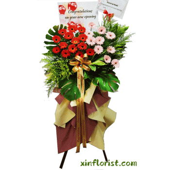 thumbnail_20250327_17372611