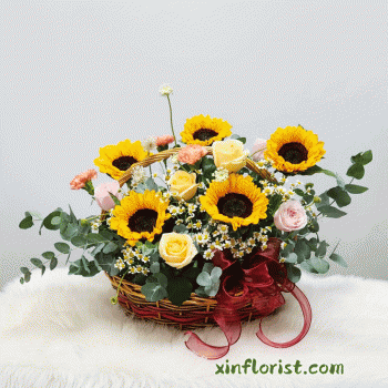 thumbnail_20250708_165507b