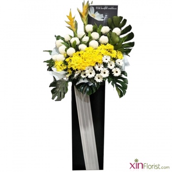 untitled-1_2048491792