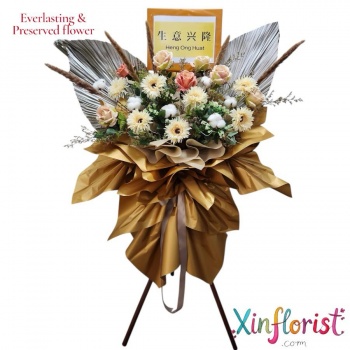 whatsapp_image_2025-12-16_at_13_55_53