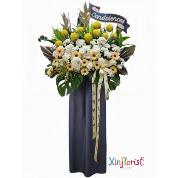 whatsapp_image_2025-12-22_at_15_57_54